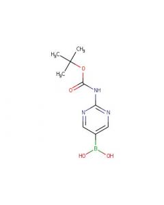 Astatech [2-[(TERT-BUTOXYCARBONYL)AMINO]PYRIMIDIN-5-YL]BORONIC ACID; 1G; Purity 95%; MDL-MFCD16251533